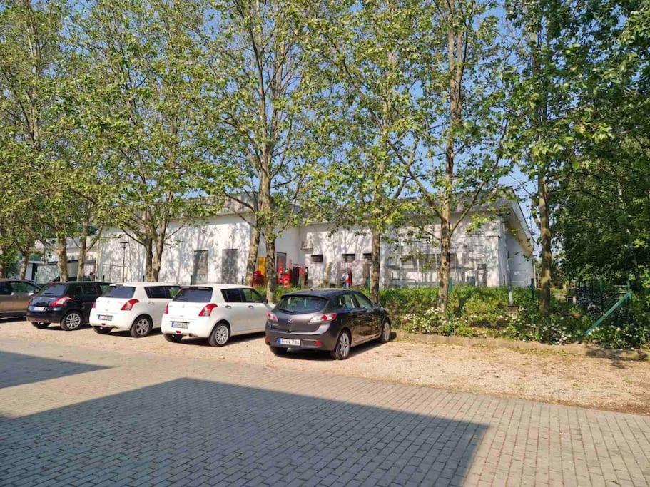 Swan Apartman - Кестхей Экстерьер фото